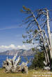 traveljan12/jan1211.JPG